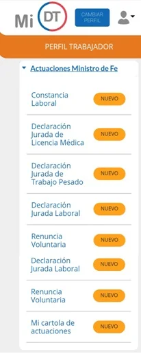 portal mi dt declaraciones juradas